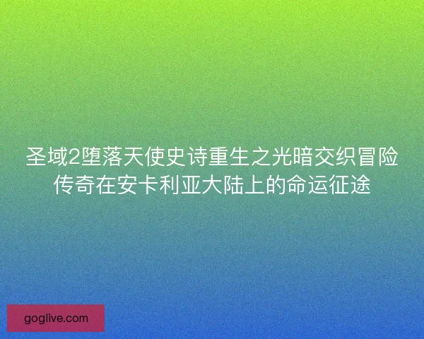 圣域2堕落天使史诗重生之光暗交织冒险传奇在安卡利亚大陆上的命运征途